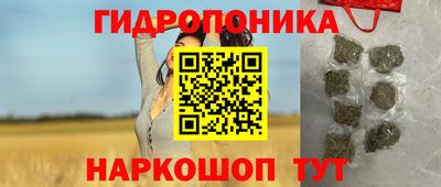 соль ск Обь