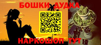 соль ск Обь