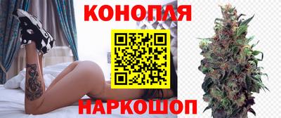крисы Обнинск